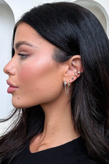 Levi Earrings 5 Pack - Gold